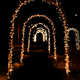 Illustration for article titled Photo Contest: Christmas Lights